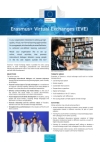 Call:  Erasmus+ virtual exchanges (EVE)