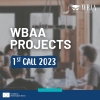 1st Call for WBAA Projects 2023