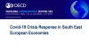 COVID-19 crisis response in South East European economies