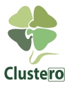 Clusters as Drivers of Value Chain Development across...