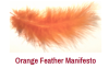 [RRI Good Practice] Orange Feather Initiative