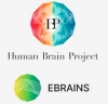 [Event Review] EBRAINS - New enabling infrastructure...